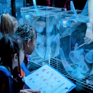 布吉島中央海洋世界（Aquaria ）