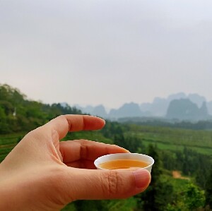 清遠英西峰林·T三有機茶園