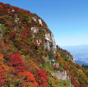 大阪出發| 名花之里 & 御在所纜車賞楓一日遊