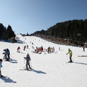 大阪出發 | 關西滑雪度假遊-神戶六甲山玩雪滑雪溫泉一日遊（每日發團，4人成行）