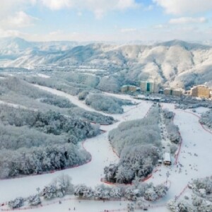 首爾出發 | 維瓦第度假村滑雪一日遊
