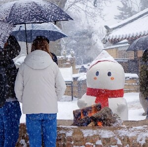 首爾出發| 魚飛溪谷冰川 + 羊駝牧場 + 南怡島 + 江村鐵道一日遊