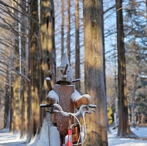 首爾出發 | 魚飛溪谷冰川 + 羊駝牧場 + 南怡島 + 晨靜樹木園一日遊