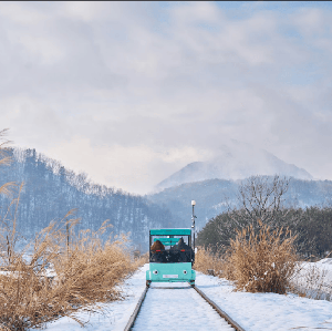 首爾出發 | (魚飛溪谷) + 鮮採草莓＋南怡島＋江村鐵道自行車一日遊