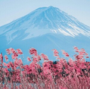 東京出發 | 富士山五合目、箱根和御殿場奧特萊斯一日遊（含午餐）