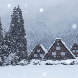 2026白川鄉點燈｜飛驒高山+白川鄉合掌村+點燈一日遊｜名古屋出發一日遊（不上展望台）