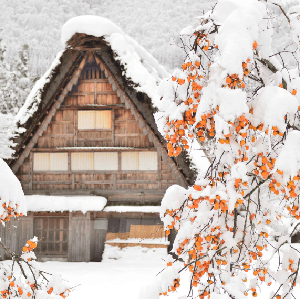 名古屋出發｜飛驒高山＆白川鄉合掌村世界遺產探訪一日遊｜可選含展望臺行程