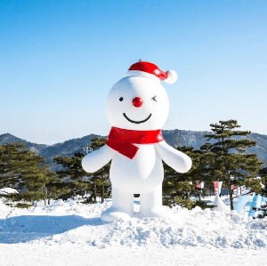 首爾出發 | 鮮採草莓+洪川大明冰雪世界雪橇+魚飛溪谷冰川一日遊
