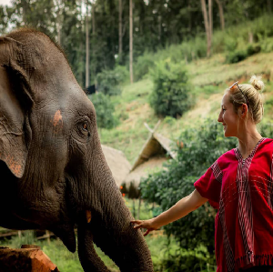 清邁KERCHOR大象生態保保護營
