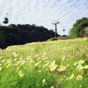 神戶布引香草園門票