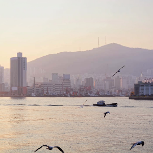 釜山多彩之旅：天空膠囊列車, 札嘎其市場 & 港灣夜景一日遊