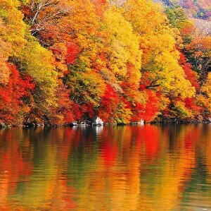 東京/新宿出發| 日光東照宮 伊呂波山道 中禪寺湖 華嚴瀑布一日遊