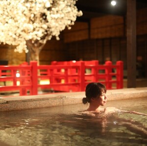 日本有馬溫泉 太閤之湯