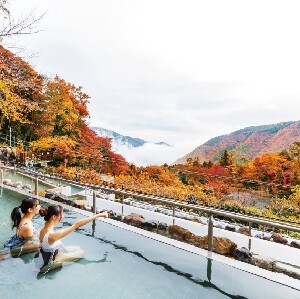箱根小湧園溫泉主題樂園門票