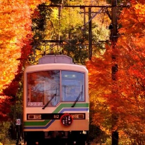 日本比叡山電車 & 纜車往返車票