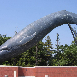 日本國立科學博物館門票