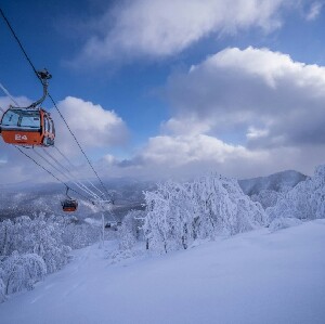 札幌出發 | 札幌國際滑雪1日遊 (中英文教學、酒店接送、專業攝影）
