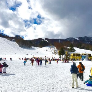 東京出發 | Katashina高原玩雪＆天然溫泉/採草莓特色一日遊（15人成團）