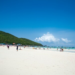泰國芭堤雅格蘭島一日遊