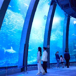 橫濱八景島海島樂園門票