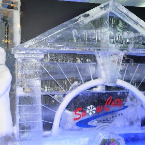 新加坡雪城門票