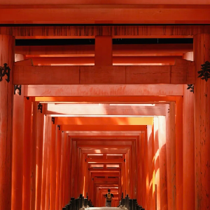 京都伏見稻荷大社&金閣寺&京都植物園光影藝術&八阪神社夜間巡遊一日遊