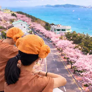 釜山海雲台 Hill Spa 汗蒸幕門票