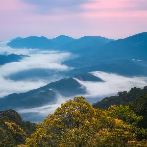 雲霧山森林公園