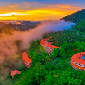 Yearning Tea Plantation Tourist Attraction