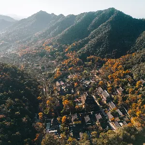 Lingyin Feilai Peak Scenic Area