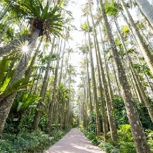 東南植物樂園