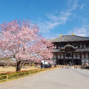 東大寺