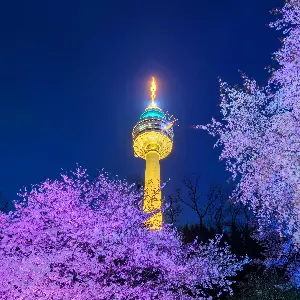 大邱83塔