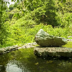 八仙山國家森林遊樂區