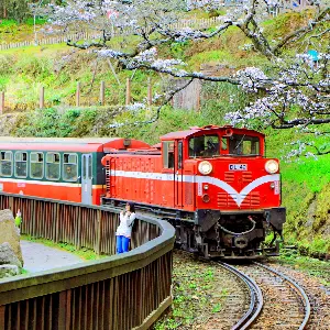 阿里山森林鐵路車庫園區