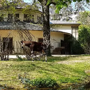 Zoo Basel