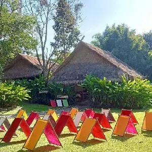 大象粑粑紙公園