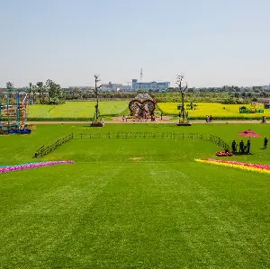 Grass Skiing in Zhongshan