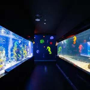 愛來水族館 大邱