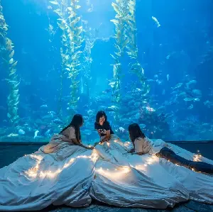 台灣海洋生物博物館