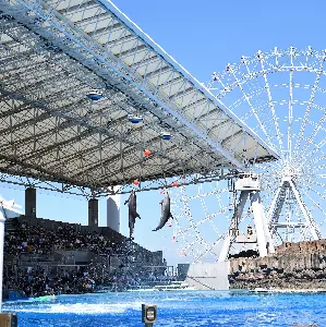 名古屋港水族館