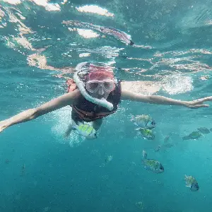 Snorkeling or Scuba Diving in Koh Samui