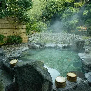 箱根浸溫泉