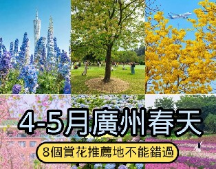 資訊圖片