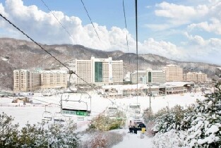 首爾出發 | 洪川大明維瓦爾第公園滑雪世界+魚飛溪谷冰川一日遊(一人成行,每日發團)圖片
