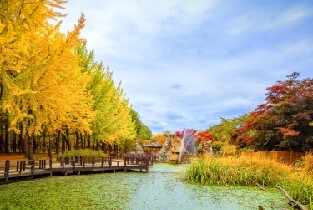 2025年韓國Elysian伊利希安江村滑雪度假村+南怡島一日遊(首爾出發)圖片
