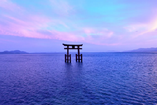 美秀琵琶湖水上鳥居一日遊