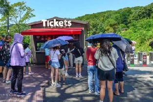 韓國草泥馬(羊駝)牧場+南怡島一日遊