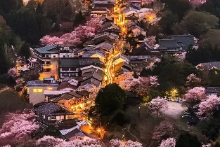 資訊圖片