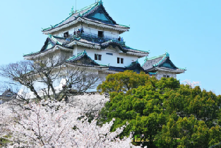 和歌山貓站長白濱溫泉二日遊